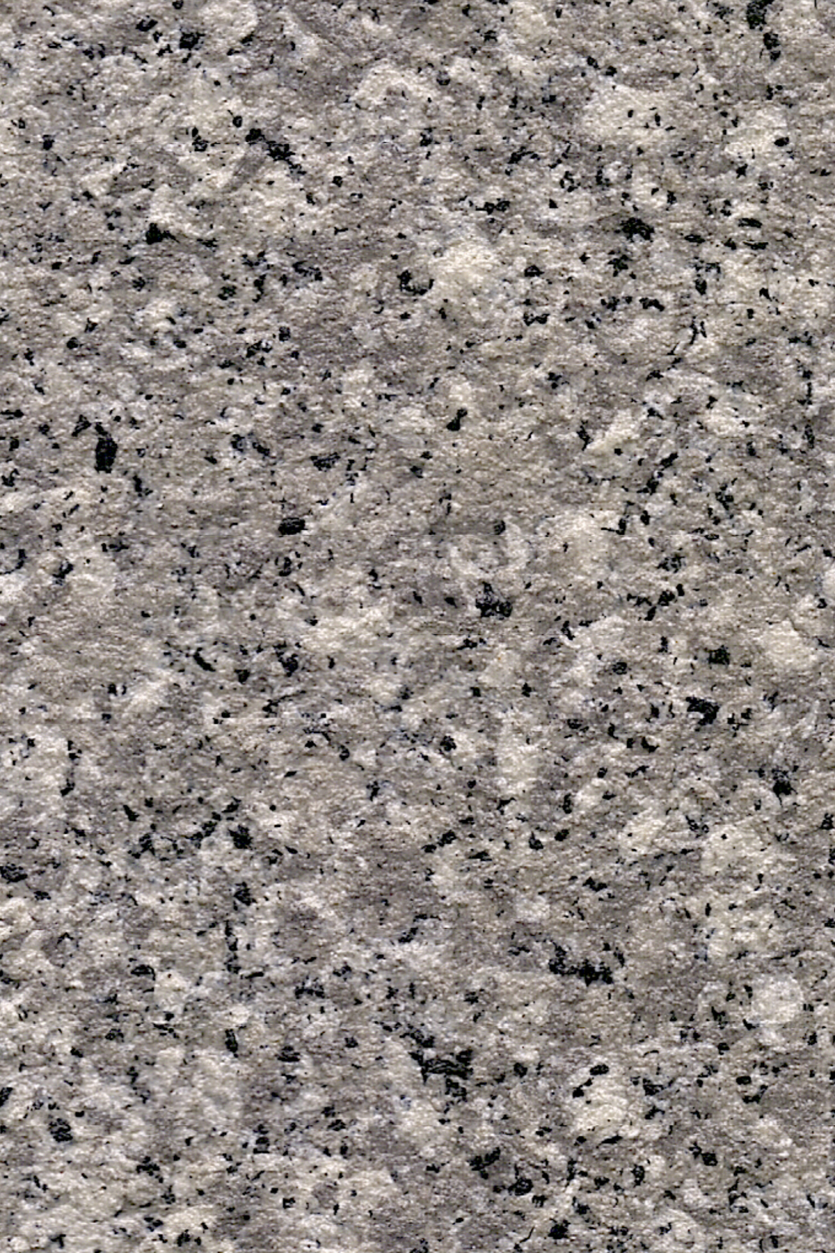 8843東?；? />
</a>
<p>8843東?；?/p>
</div>
<div   id=